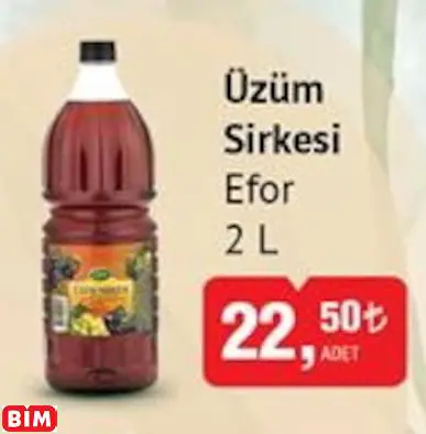 EFOR ÜZÜM SİRKESİ